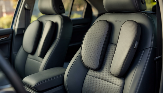 physiotherapist recommended car cushions 